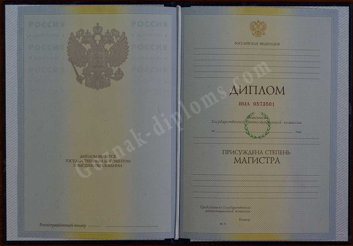 Диплом магистра 2010-2013